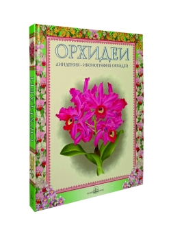 Орхидеи. Линдения - иконография орхидей 