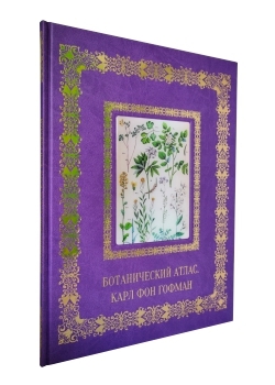 ������������ �����. ���� ��� ������